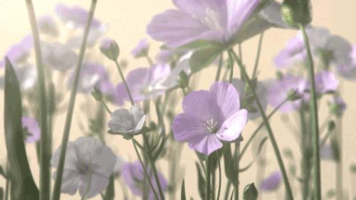 一千朵花填充出的「羽绒衫」|会烂吗？保暖吗？