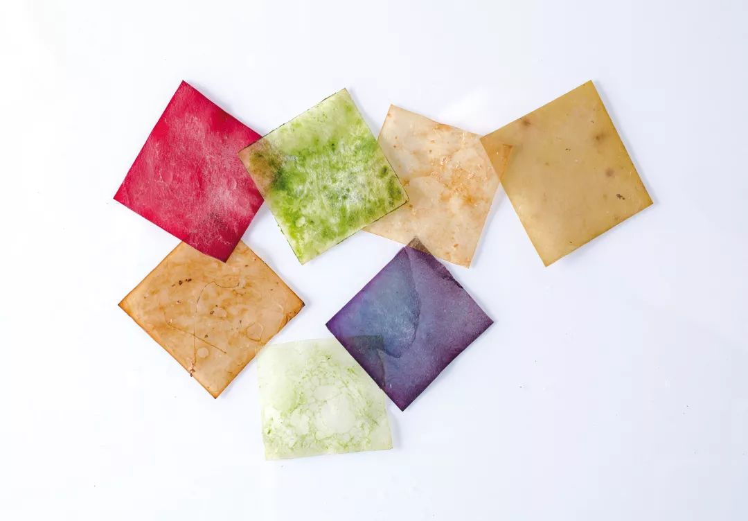 一千朵花填充出的「羽绒衫」|会烂吗？保暖吗？