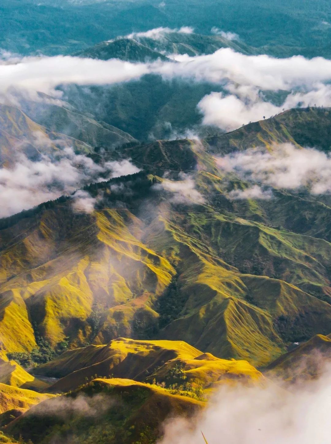 菲律宾塑料破碎,菲律宾碎尸案