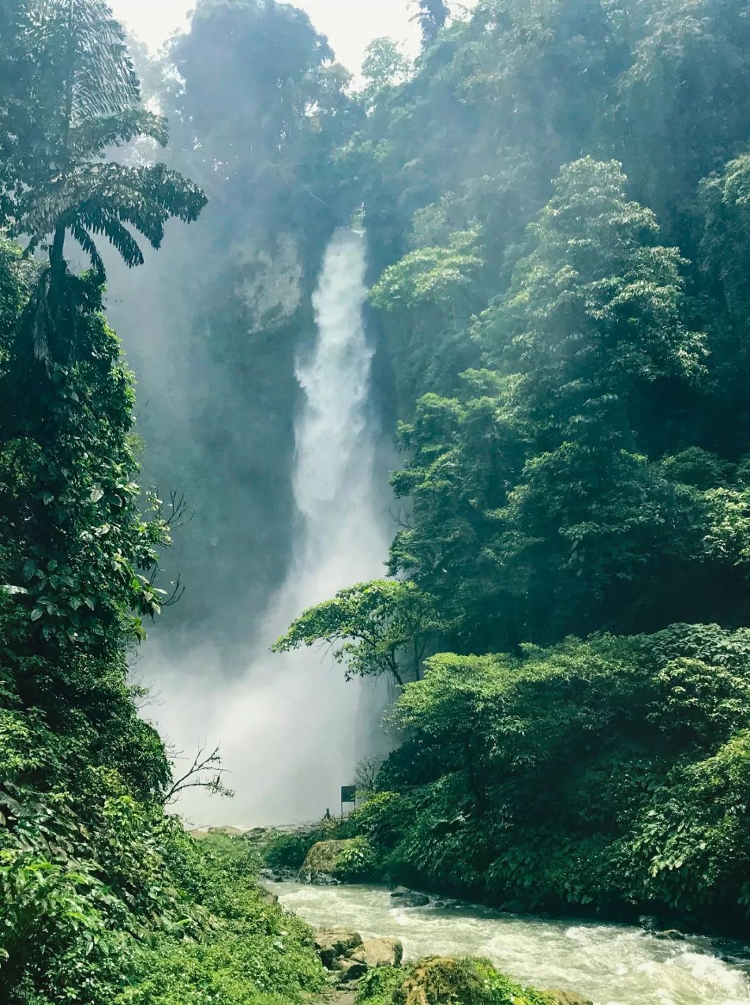 菲律宾塑料破碎,菲律宾碎尸案
