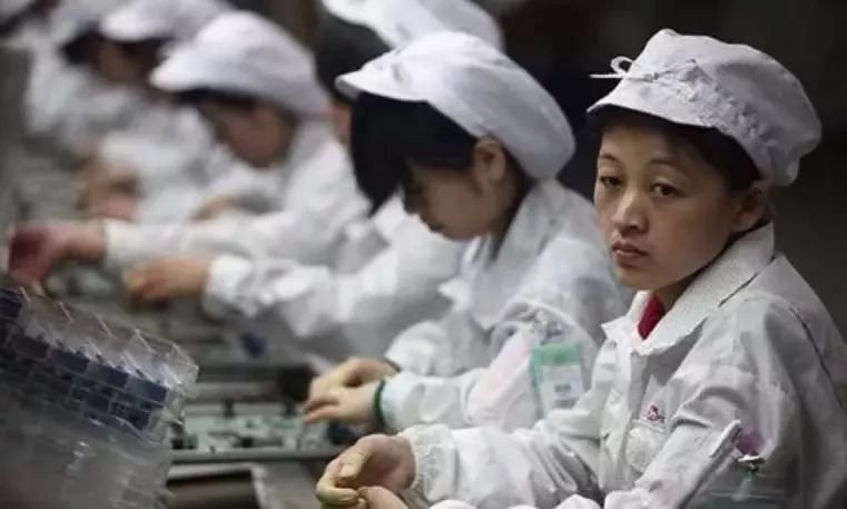 香菇分拣线出事,找来厂长后暴露一个大问题:中国缺2000万这种人才,上机器人也没用