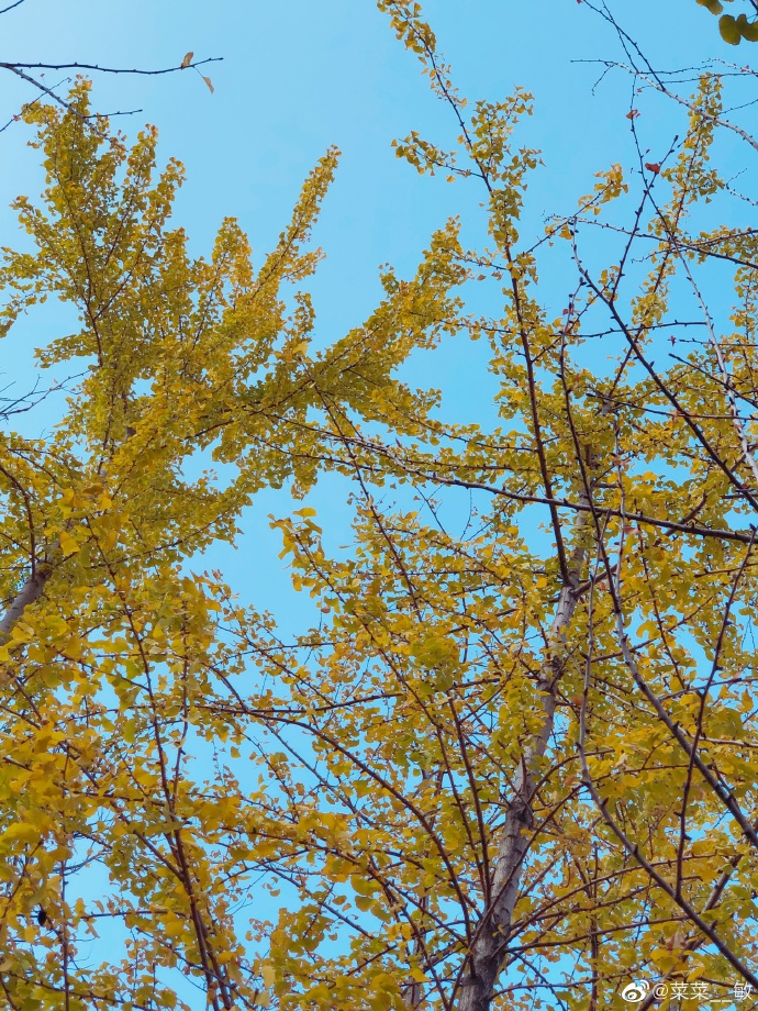 最新福州温泉公园,福州温泉公园