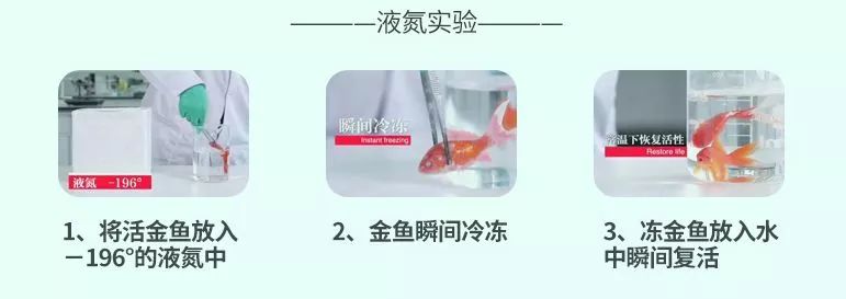 给肠道洗个澡，便秘、口臭、大肚腩都没了