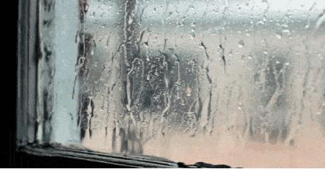 “啪啪啪”时“痛痛痛”?要小心这些妇科疾病