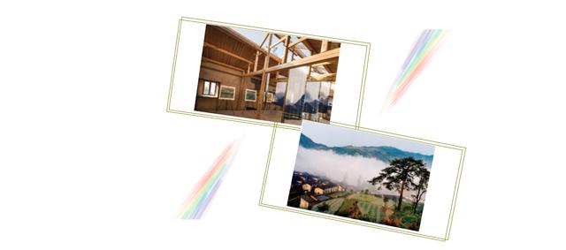 松阳古村落古树人家风景美如画,松阳千年古村落