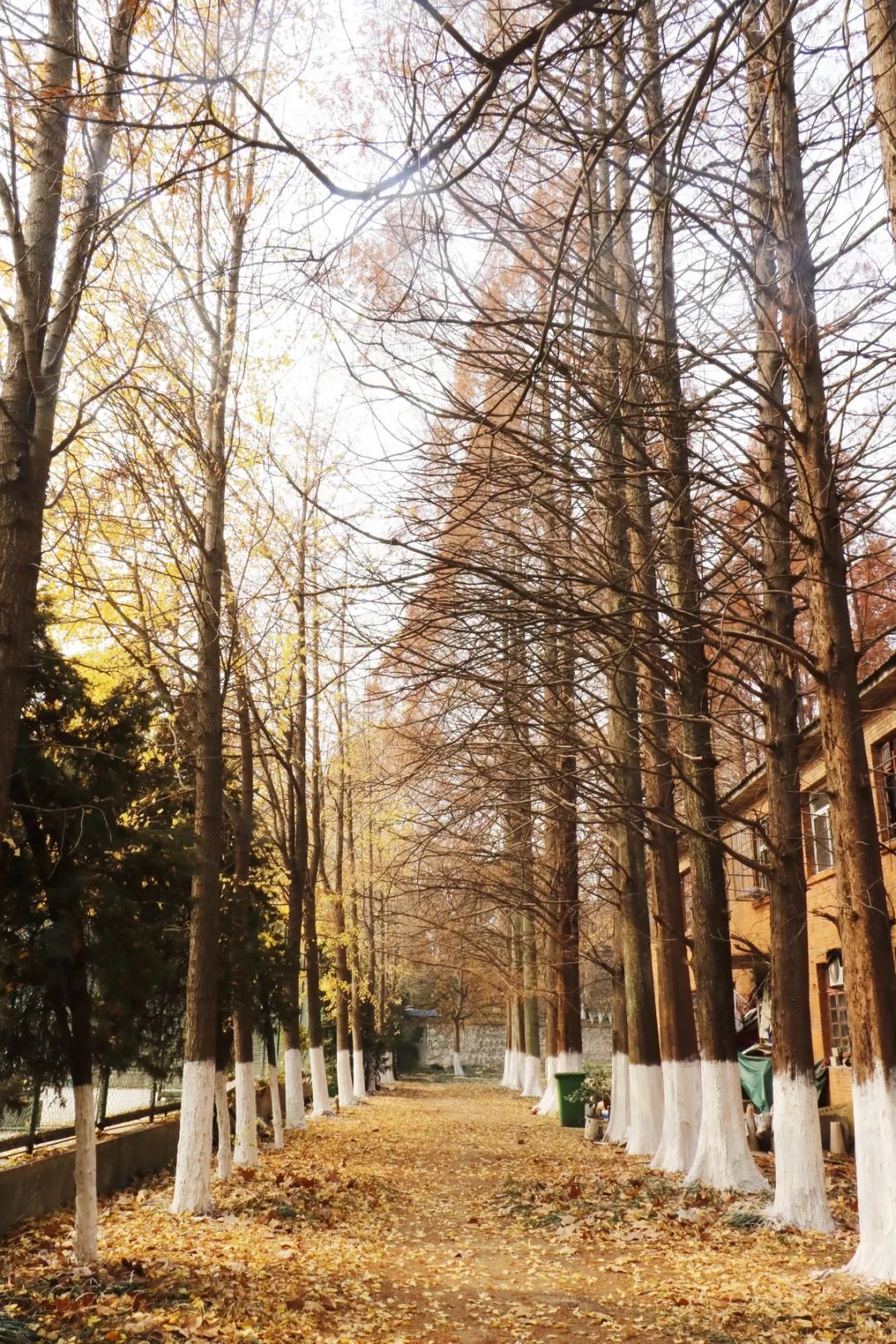 走进安徽大学校园,走进安徽大学