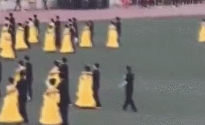 前方高能搞笑视频,前方高能搞笑动画全集