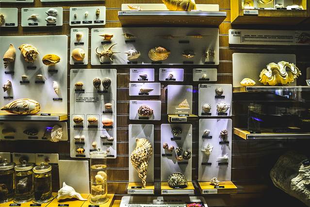 猝不及防闯入你的容颜｜你好，青岛