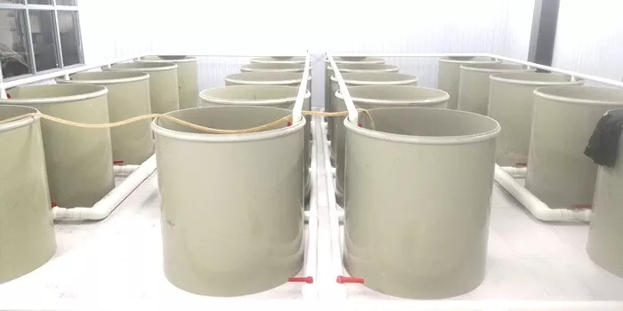 循环水养殖怎么快速建立硝化细菌,最强循环水养殖物理过滤方案