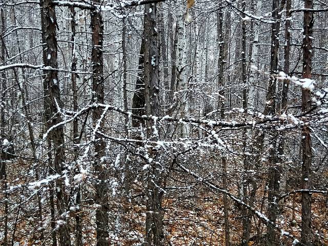 自驾呼伦贝尔草原公路,呼伦贝尔草原自驾公路