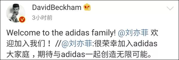 adidas现在代言人,adidas官方旗舰店被罚