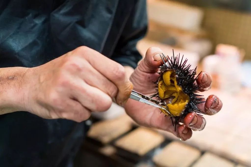 北海道为什么会成为日本的福地,北海道为啥叫北海道