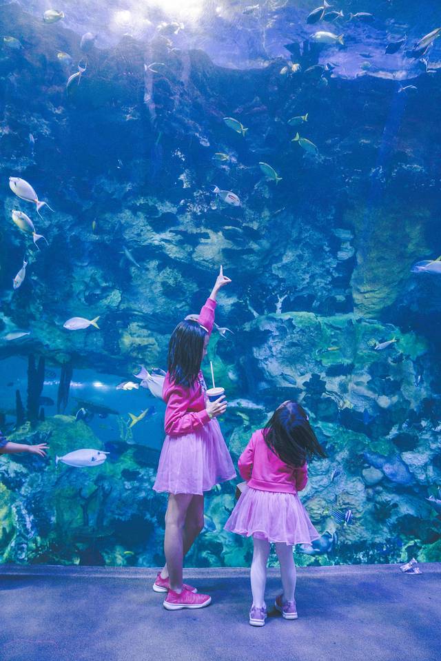 长隆海洋王国海底机动船,珠海长隆海洋王国鲸鲨馆海底区