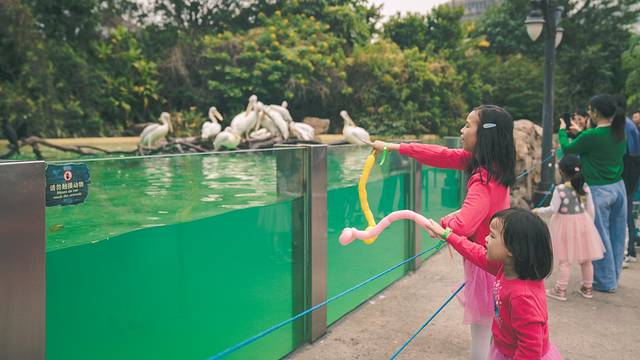 海底探秘视频,海底探秘海洋馆