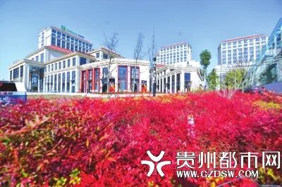 多重利好，厚积着向上生长的力量！贵安楼市正在聚势崛起