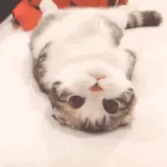 小个子穿搭2020冬面包服,小个子冬天穿搭背影面包服