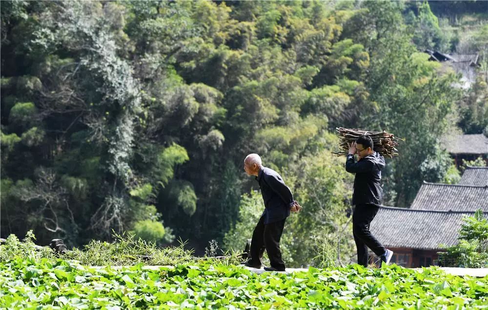 贵州省扶贫干部工作状态,贵州扶贫干部工作现状