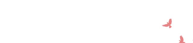 651黄浦江隧道施工全过程讲解,651工程是什么