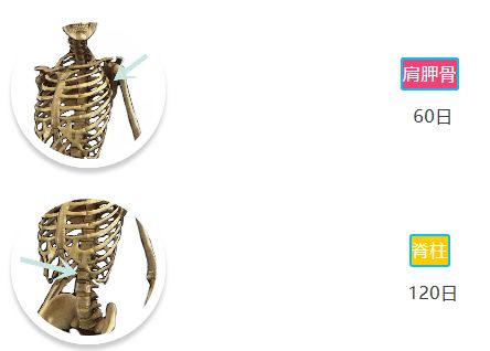 「骨科康复」骨折愈合分期和愈合时间