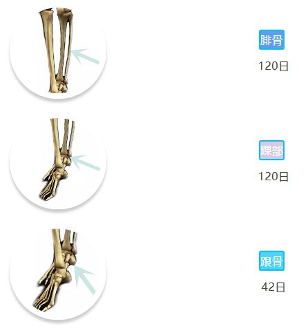 「骨科康复」骨折愈合分期和愈合时间