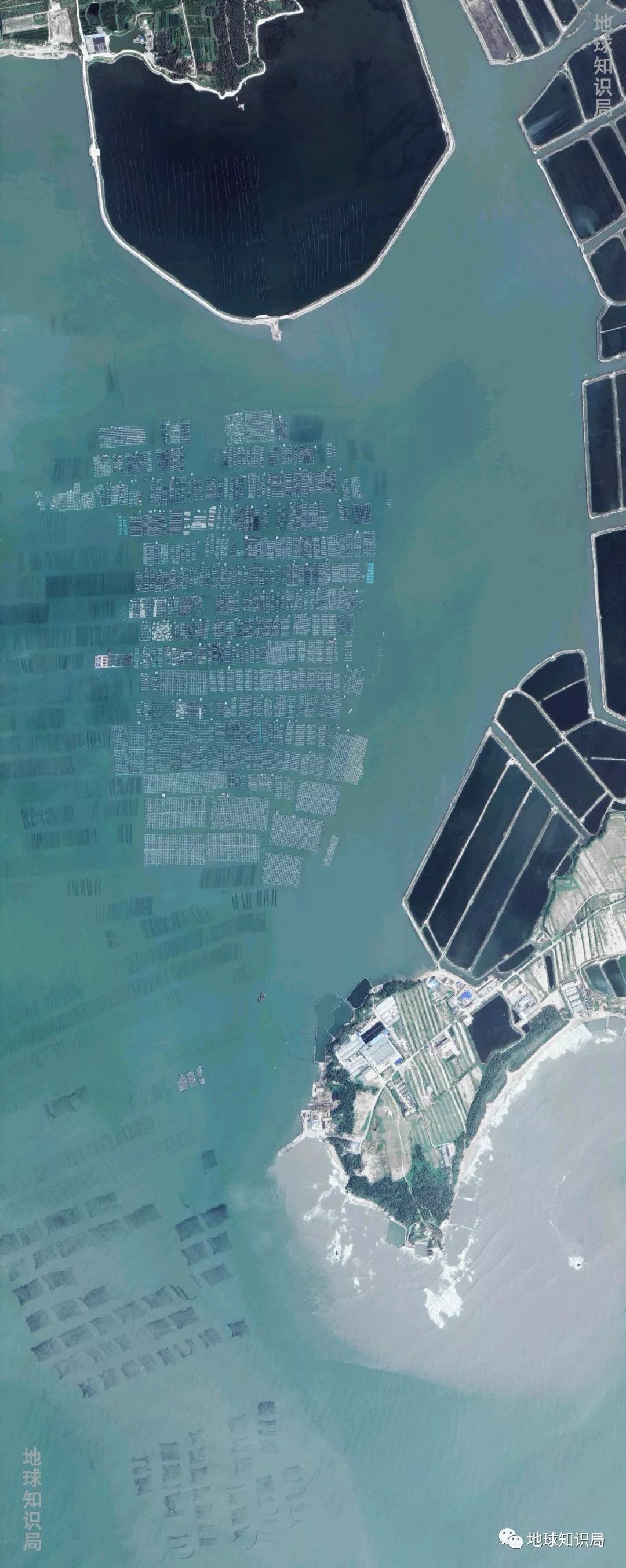 沿海人民是如何喂饱中国的？