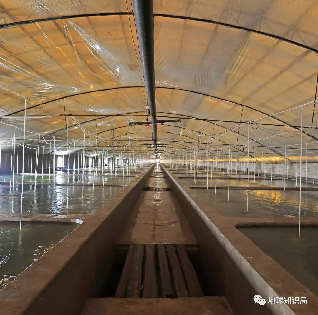 沿海人民是如何喂饱中国的？