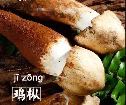 这些字你读错几个,这些字你会读错吗