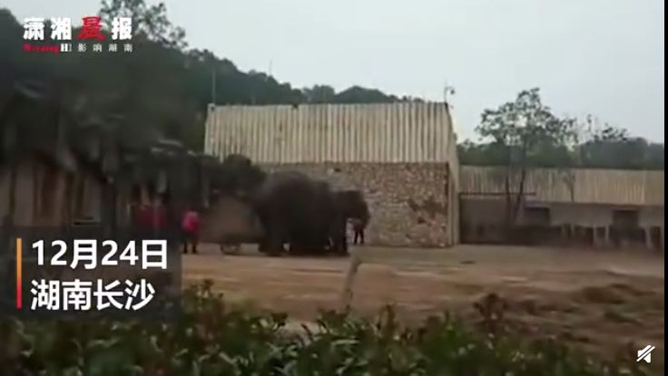 36岁辅警遭面包车碾压牺牲，犯罪嫌疑人已被刑拘！