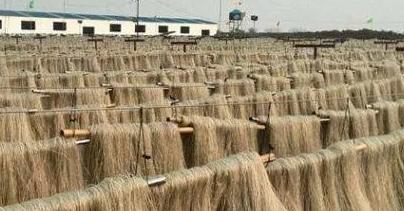 红薯粉怎么分辨真假粉条,辨别真假红薯粉炒菜用的