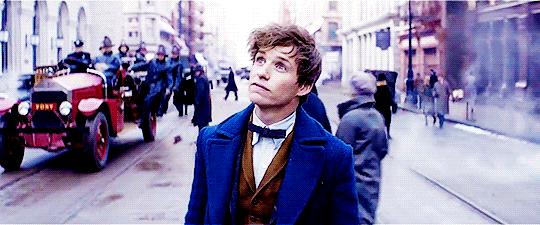 哈利波特奥斯卡颁奖,哈利波特奥斯卡入围