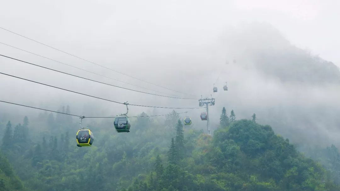 成都五一露营星空云海,云海五一旅游攻略最新