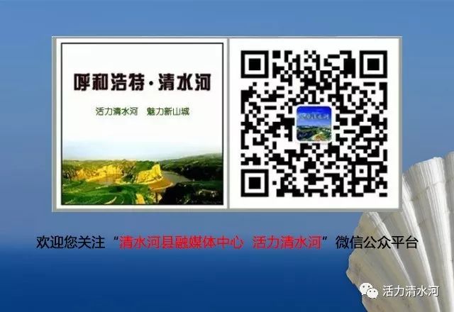 中国青少年足球联赛呼和浩特赛区,市长杯足球赛呼和浩特