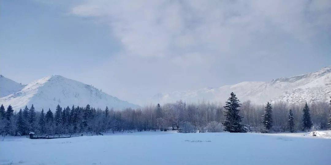 去哪网儿评出2020最热门的旅游城市,有你家吗?