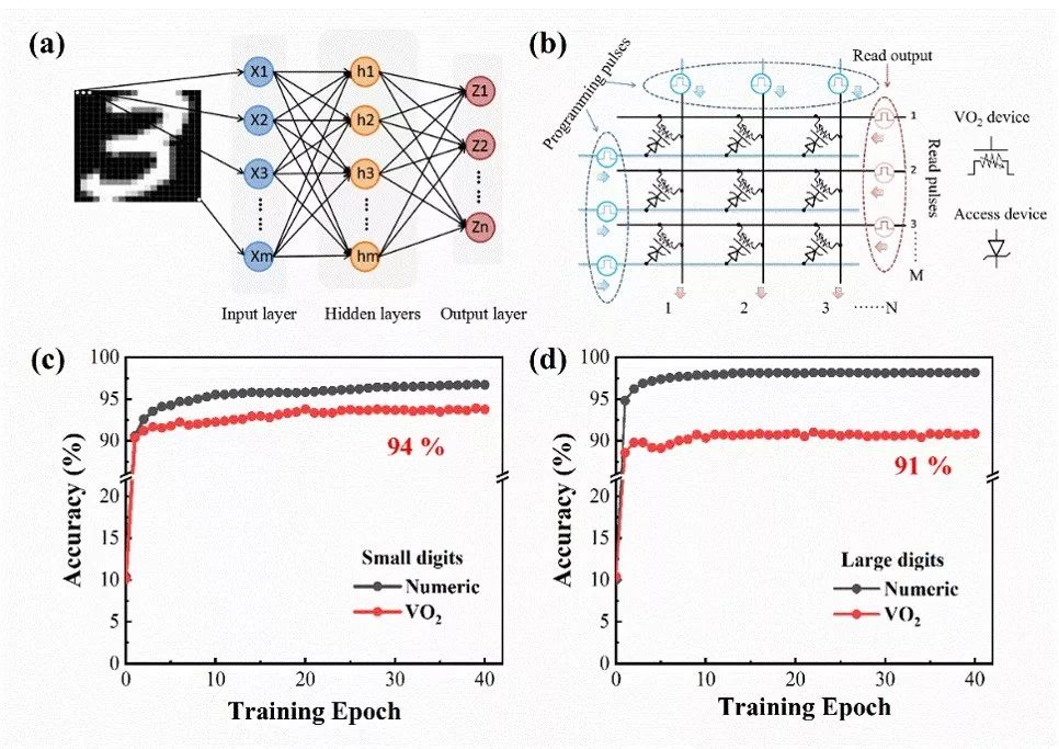 用氧化物定制人脑之梦
