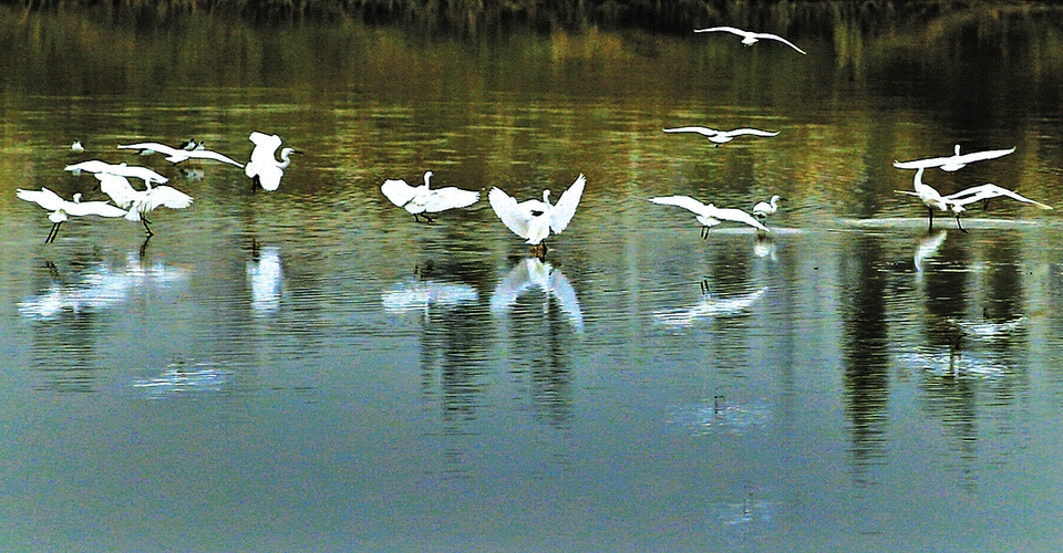 济南的冬天如诗如画,济南的冬天和小城之冬有什么区别