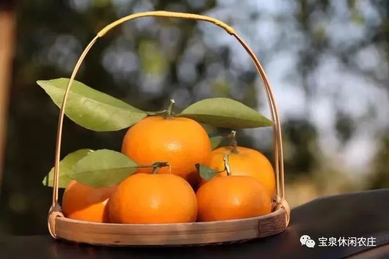 柳城周边游玩景点推荐,柳北旅游推荐