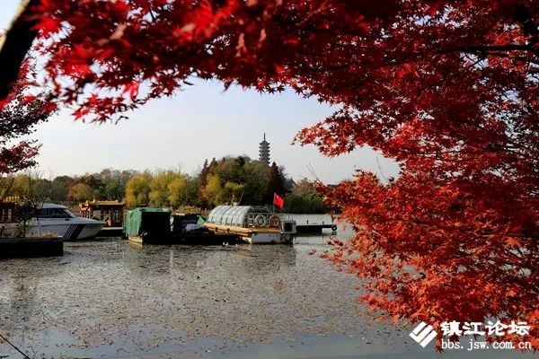 过年去镇江一日游去哪里好,镇江过年去哪儿旅游合适