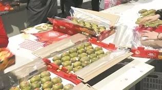 怎样让企业买全球卖全球？这家“成都产”猕猴桃在欧盟试了试味道……
