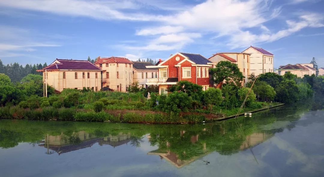 阿拉一道来|新村乡:“5分钟服务圈”打造农村垃圾分类新模式