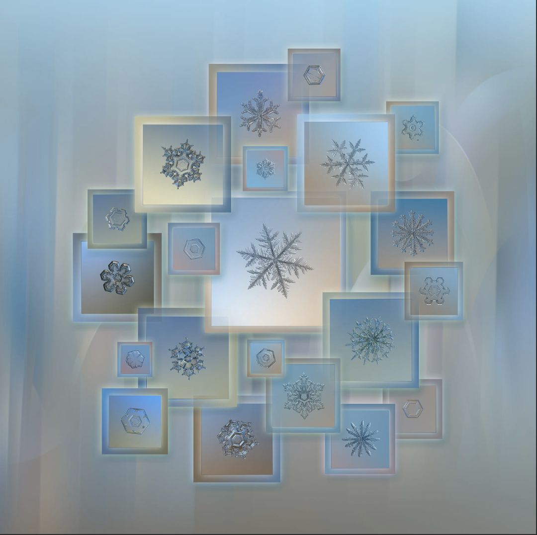 感受冬日的浪漫与唯美,冬日浪漫素材