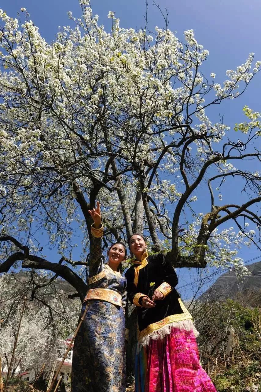 归农，颠覆电商模式促进乡村振兴