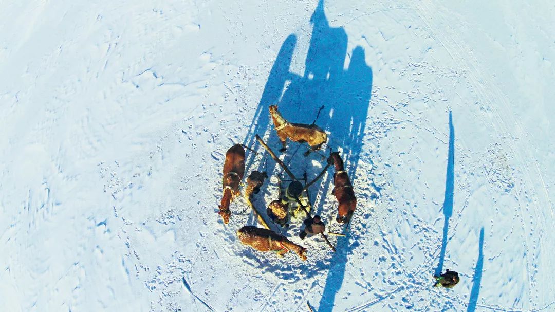 过年新鲜海鲜有哪些,中国人过年常吃什么