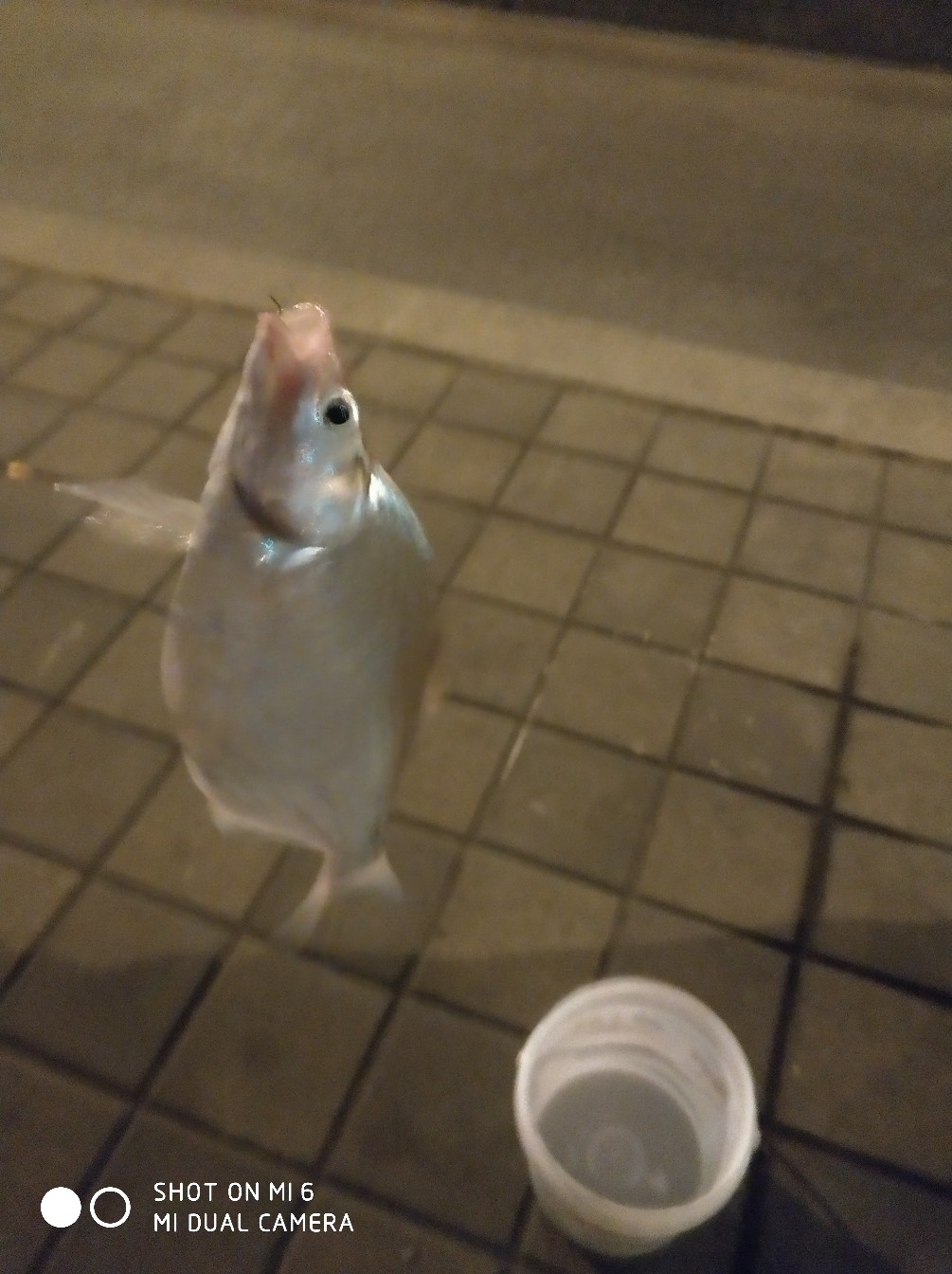 不懂钓鱼的人开渔具店,多少钓友才适合开渔具店