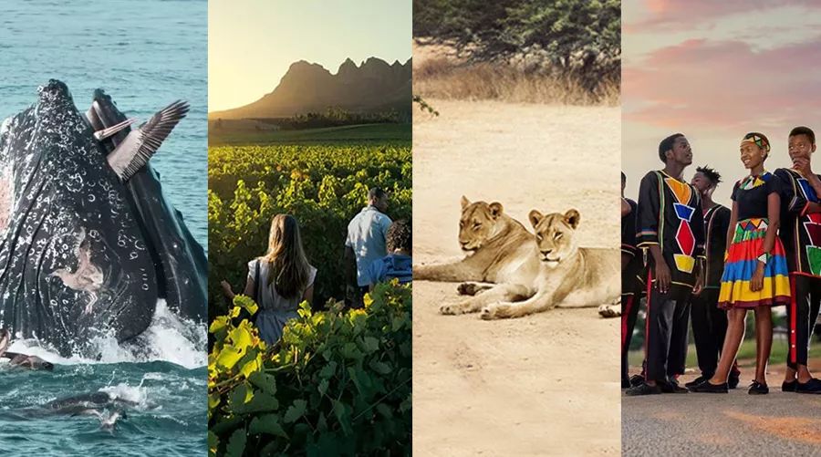 2023年去南非安全吗,国内怎么去南非最划算