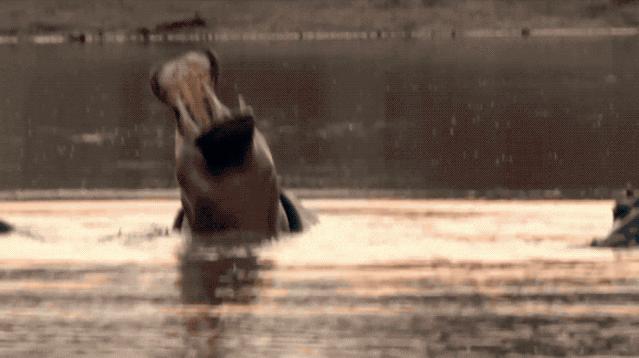 2023年去南非安全吗,国内怎么去南非最划算