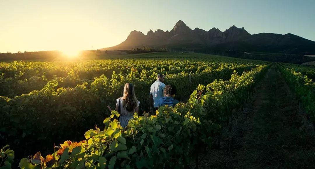 2023年去南非安全吗,国内怎么去南非最划算