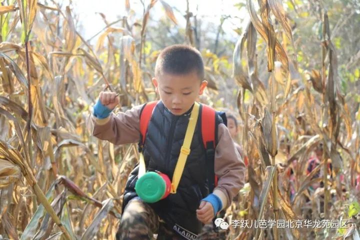 李跃儿芭学园收费标准2021年,李跃儿芭学园