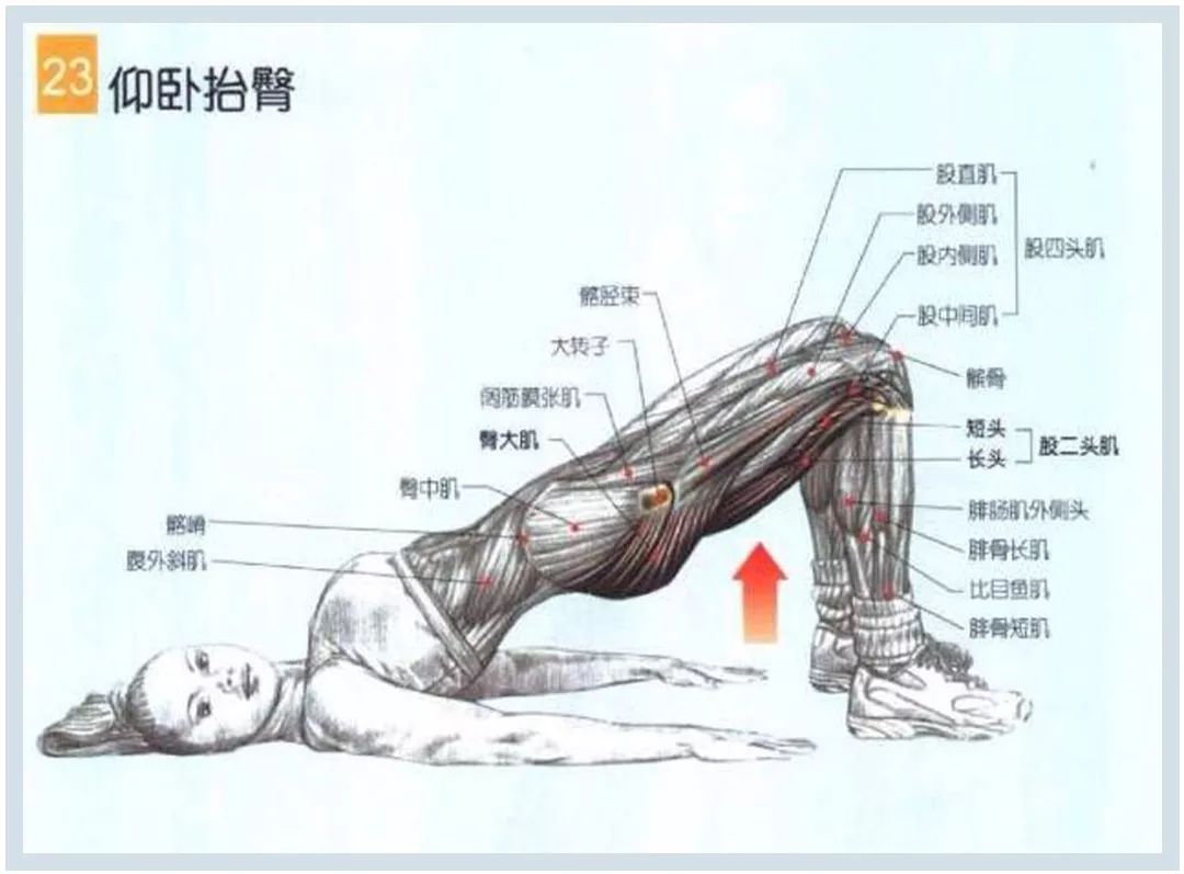 食物瘦身法大全,一周紧急瘦身法食谱
