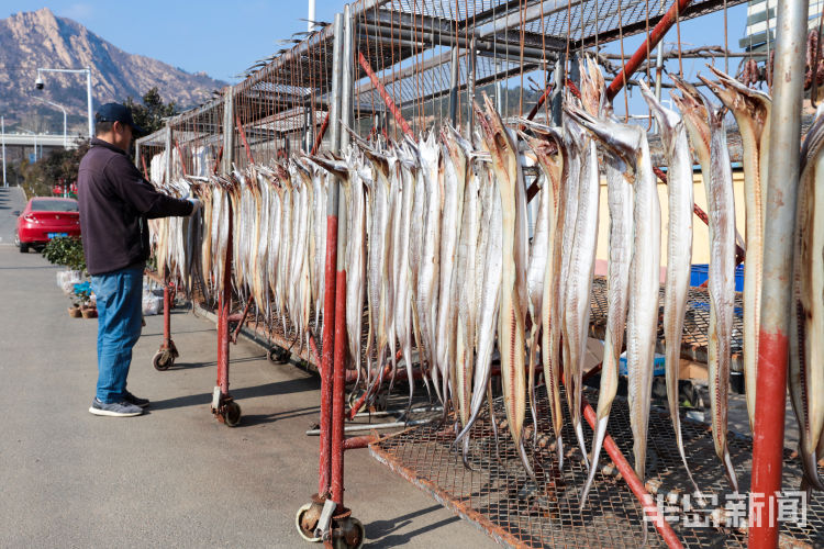 晾晒的各种鱼悬挂路边很是壮观,面包鱼价格为35元一斤,大鲈鱼42一斤……