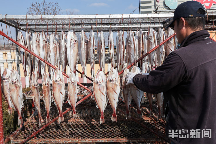 晾晒的各种鱼悬挂路边很是壮观，面包鱼价格为35元一斤，大鲈鱼42一斤……